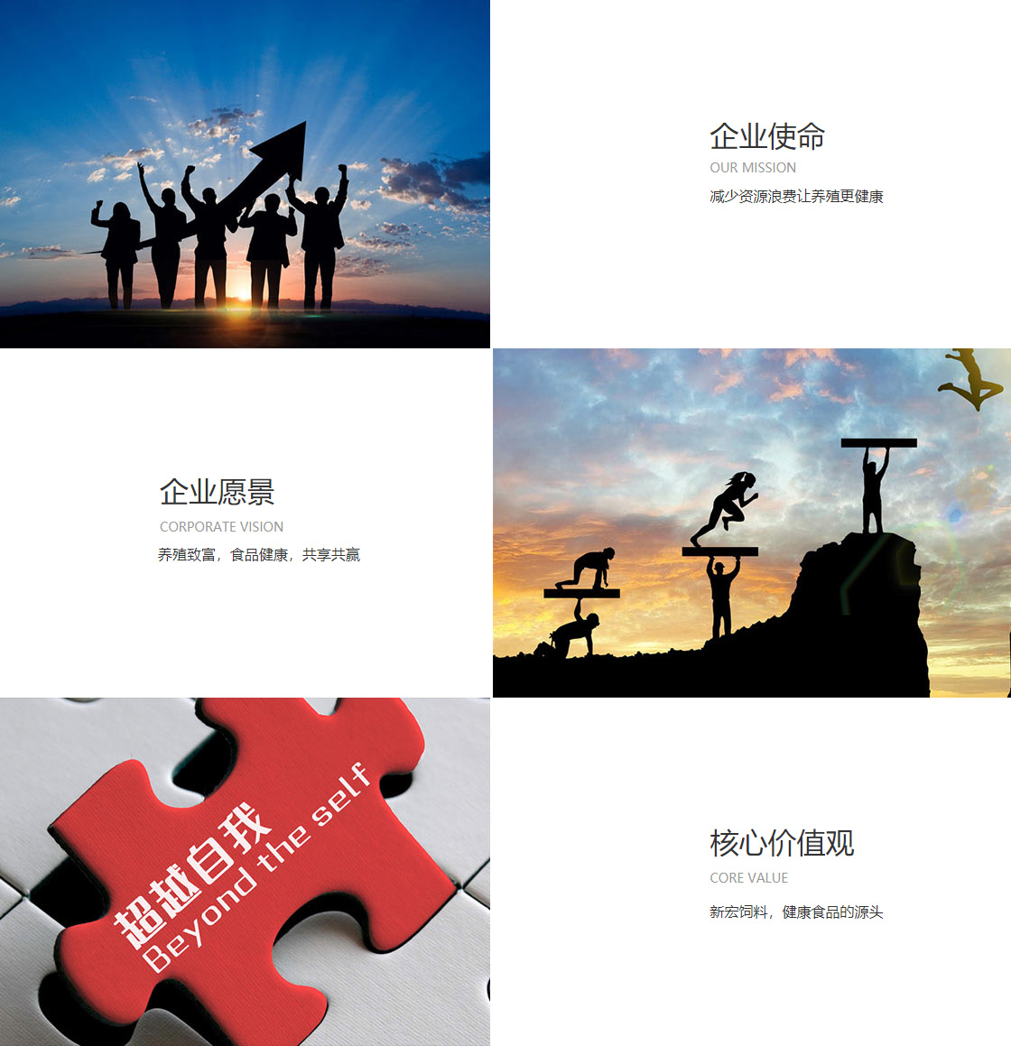 HAHA体育十年运营信誉无忧(图1)